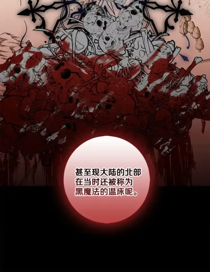 《我的暴君变成小孩儿了》69.休艾娜的选择图79