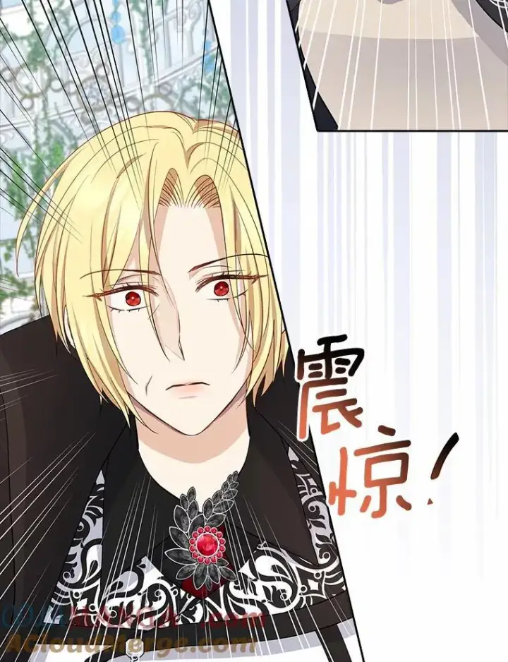 漫画《我的暴君变成小孩儿了》4.私生子第33张图