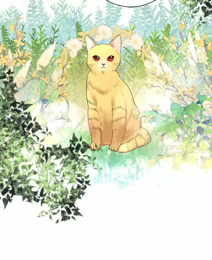 漫画《我的暴君变成小孩儿了》6.我也要第87张图