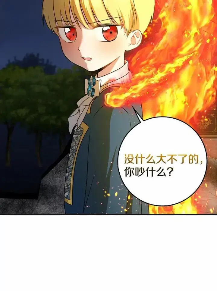 《我的暴君变成小孩儿了》25.那座宫殿图100
