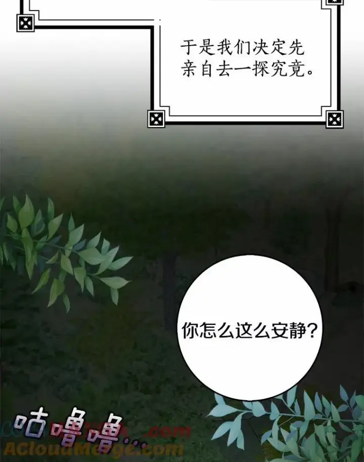 《我的暴君变成小孩儿了》25.那座宫殿图41