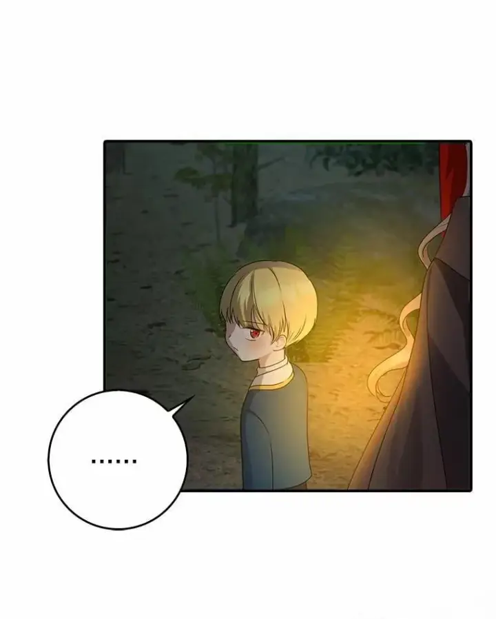 《我的暴君变成小孩儿了》25.那座宫殿图46