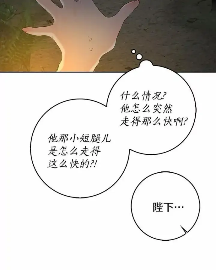 《我的暴君变成小孩儿了》25.那座宫殿图50