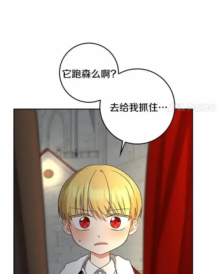 漫画《我的暴君变成小孩儿了》32.夜访骑士团第27张图