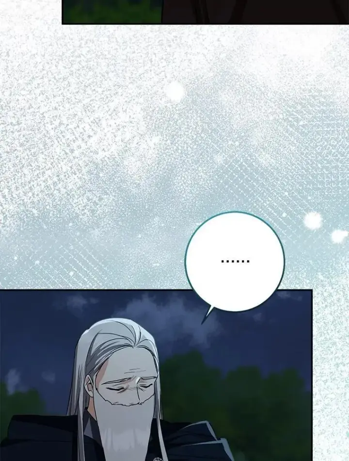 漫画《我的暴君变成小孩儿了》77.恢复名誉第66张图