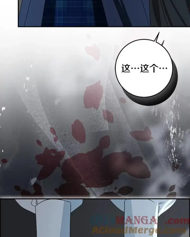 漫画《我的暴君变成小孩儿了》80.预言的能力第177张图