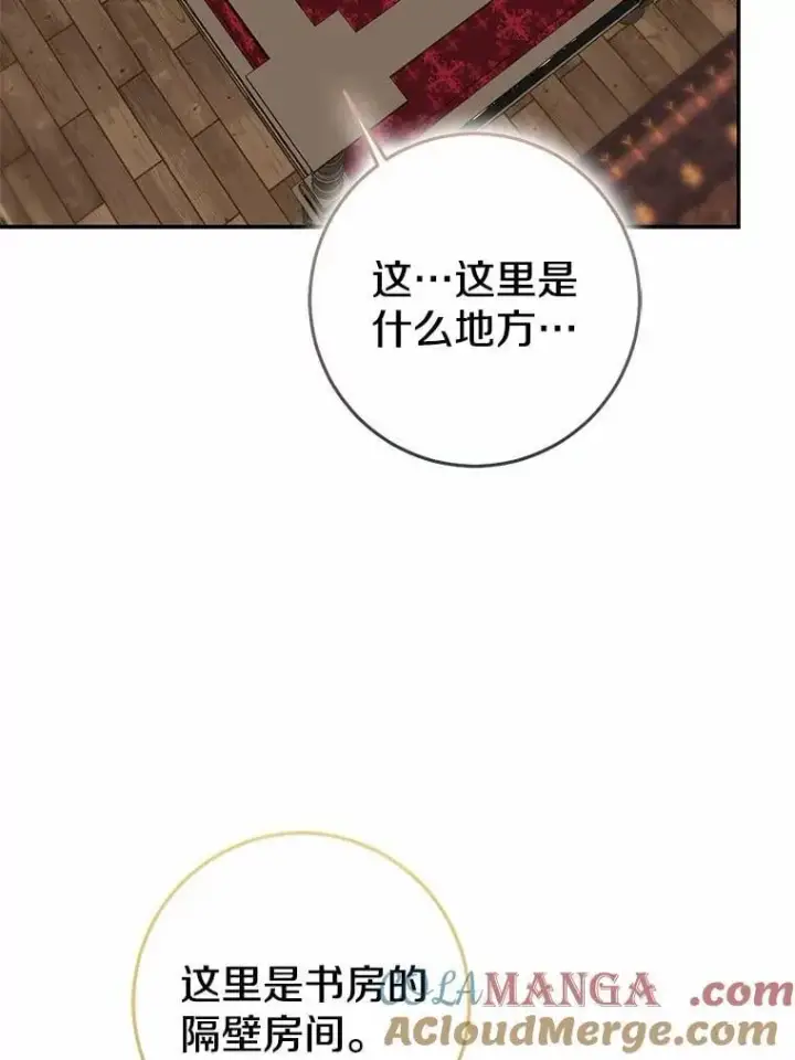 漫画《我的暴君变成小孩儿了》83.那个孩子第17张图