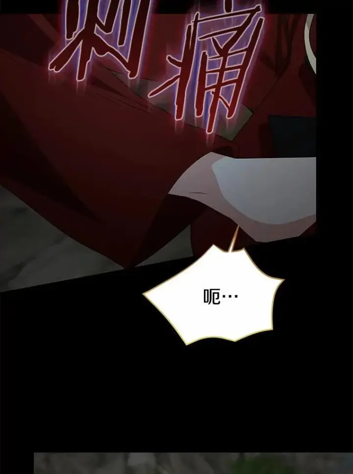 漫画《我的暴君变成小孩儿了》86.回望过去第67张图