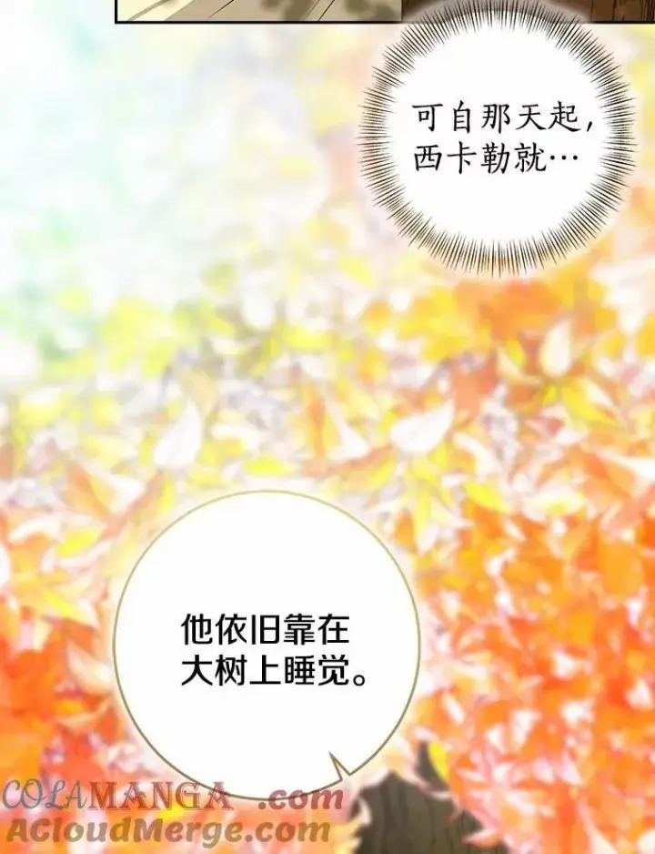 漫画《我的暴君变成小孩儿了》90.西卡勒苏醒第17张图