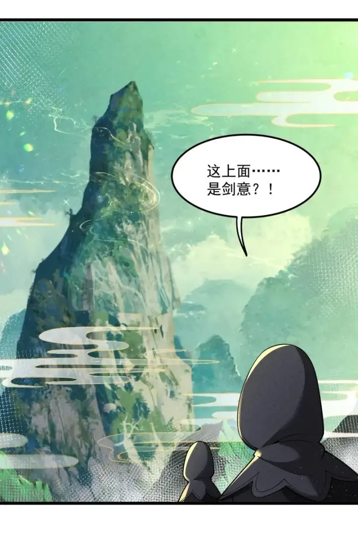 《我的徒弟孝心好像变质了》006 百年一遇的剑道天才图5