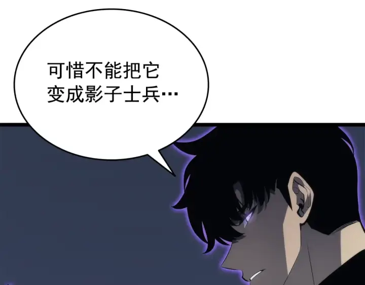《我独自升级》第138话 灾难图197