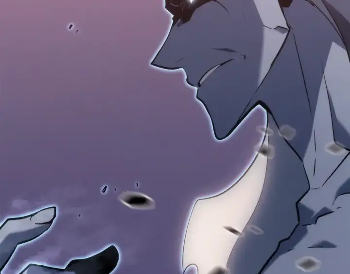 《我独自升级》第160话 落幕图229