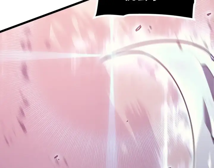《我独自升级》第160话 落幕图247