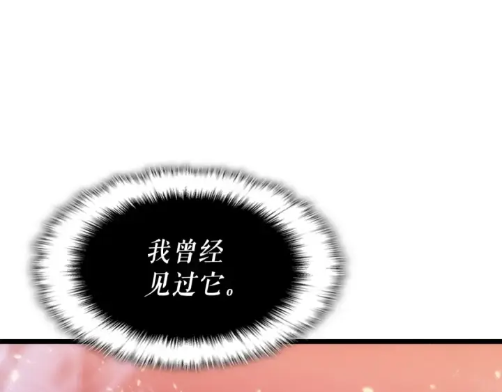 《我独自升级》第165话 王的警告图173