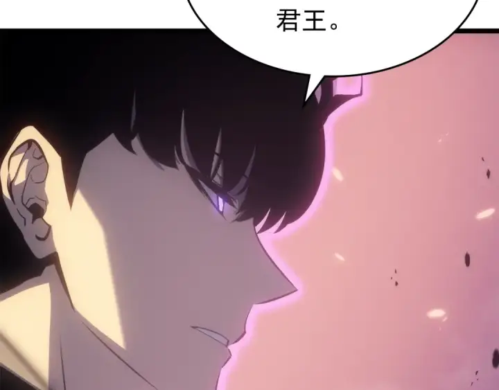 《我独自升级》第165话 王的警告图210