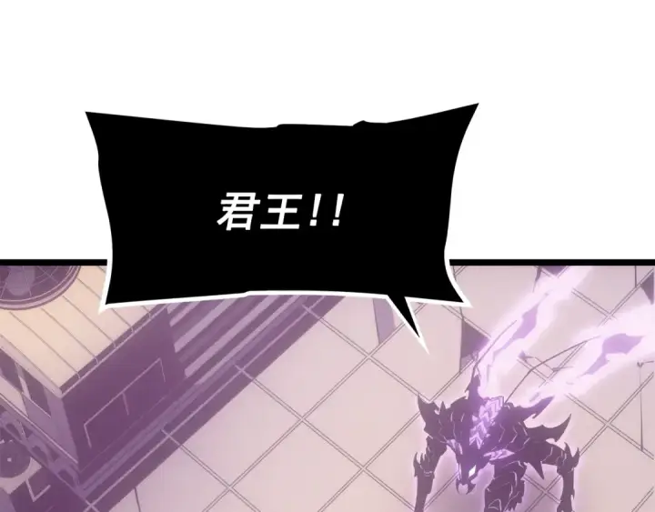《我独自升级》第165话 王的警告图252
