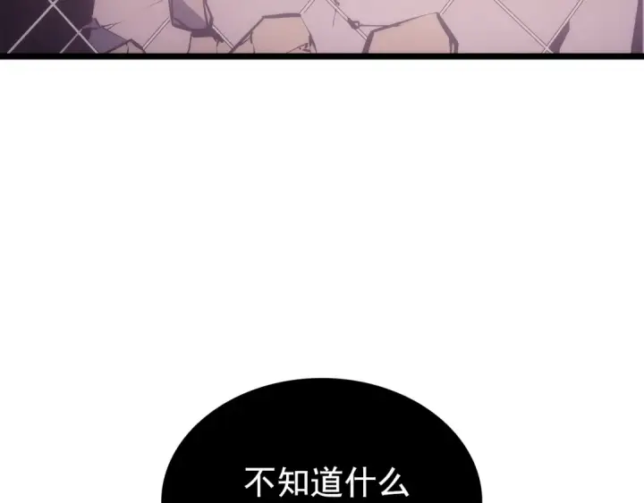 《我独自升级》第165话 王的警告图254