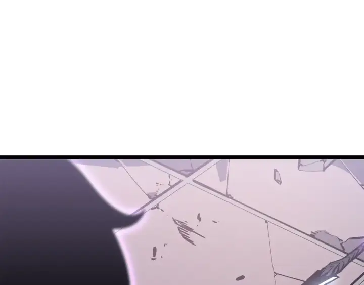 《我独自升级》第165话 王的警告图257