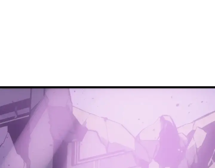《我独自升级》第165话 王的警告图265