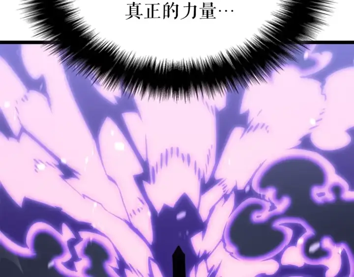 《我独自升级》第175话 灵体化图209