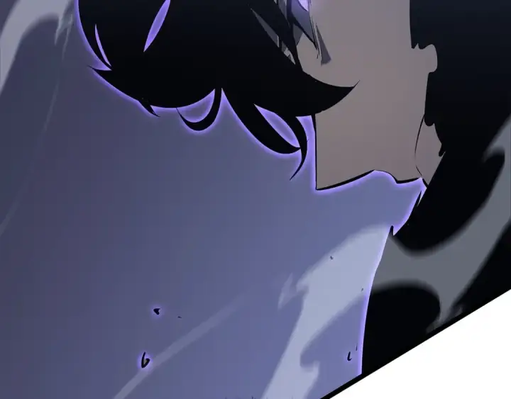 《我独自升级》第175话 灵体化图58