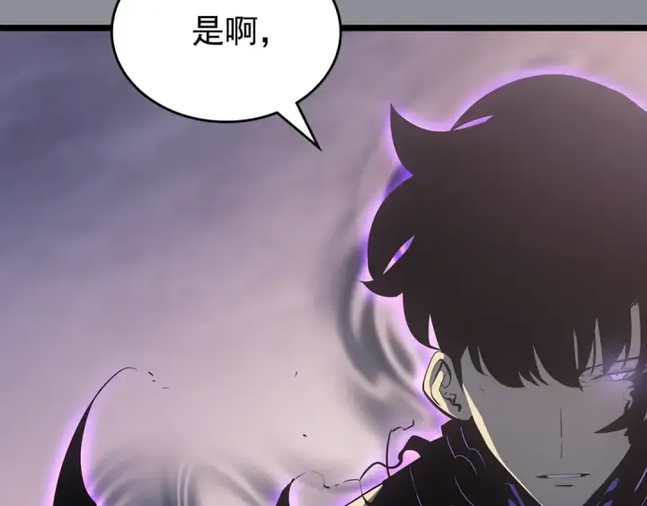 《我独自升级》第176话 你的结局图228