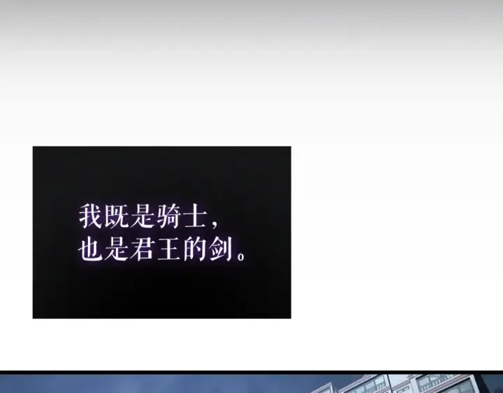 《我独自升级》特别篇第8话 骑士图391