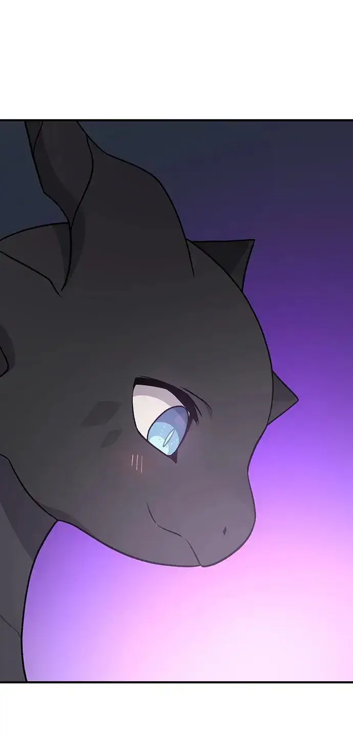《我独自在高塔种田》[第49话] 伟大的黑龙图107