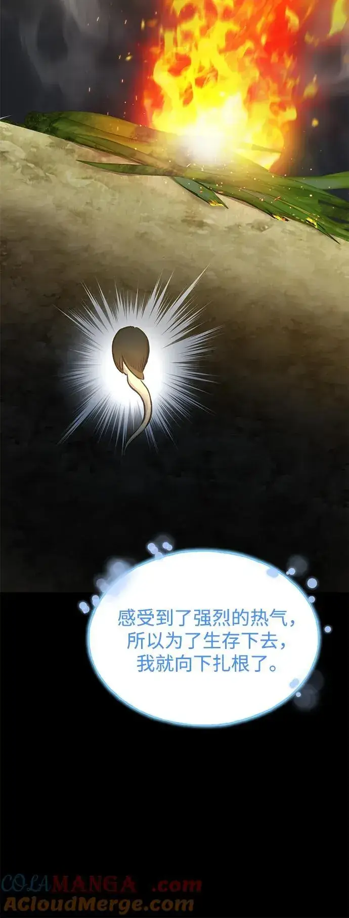 《我独自在高塔种田》[第73话] 火花苹果树图17