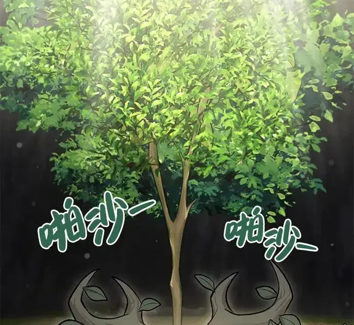 《我独自在高塔种田》[第119话] 从今天起， 我要对你进行特训！图138