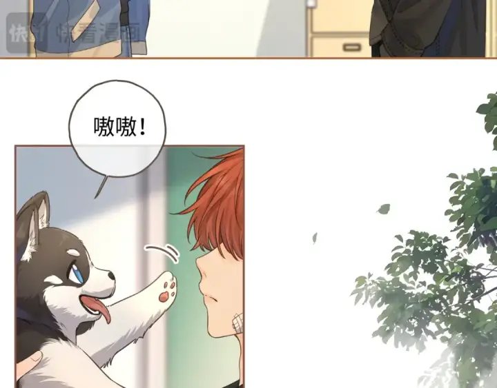 《我就想蹭你的气运》第19话 口嫌体正直的关心图59