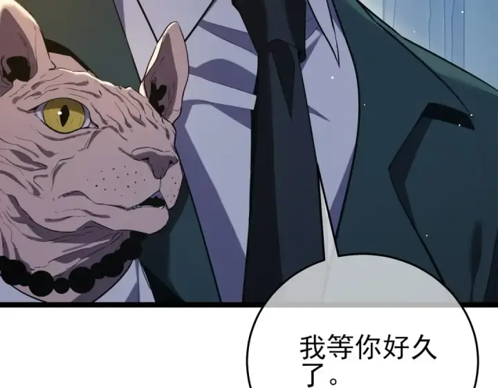 漫画《我靠无敌被动打出成吨伤害！》第68话 蒋老成功当选第207张图