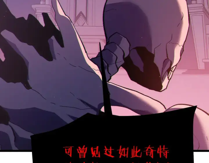 《我靠无敌被动打出成吨伤害！》第120话 十二主宰图119