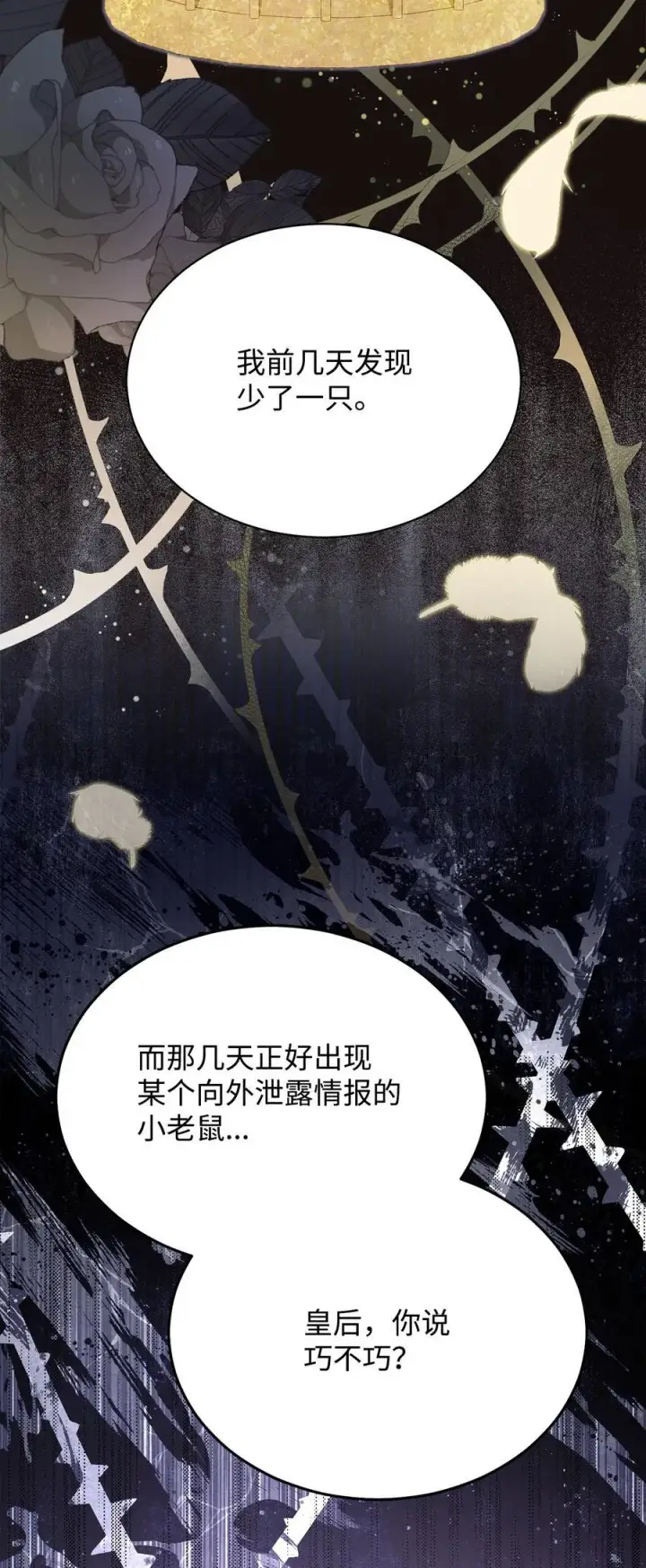 漫画《我来负责男主的福利》79 赴死的玫瑰第42张图