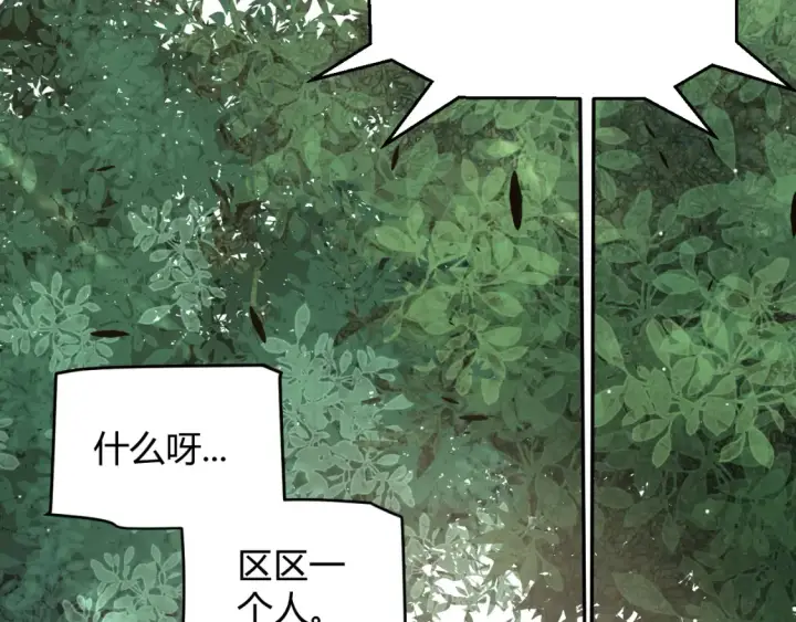 《我来自游戏》第250话 一人成军的冲击图15