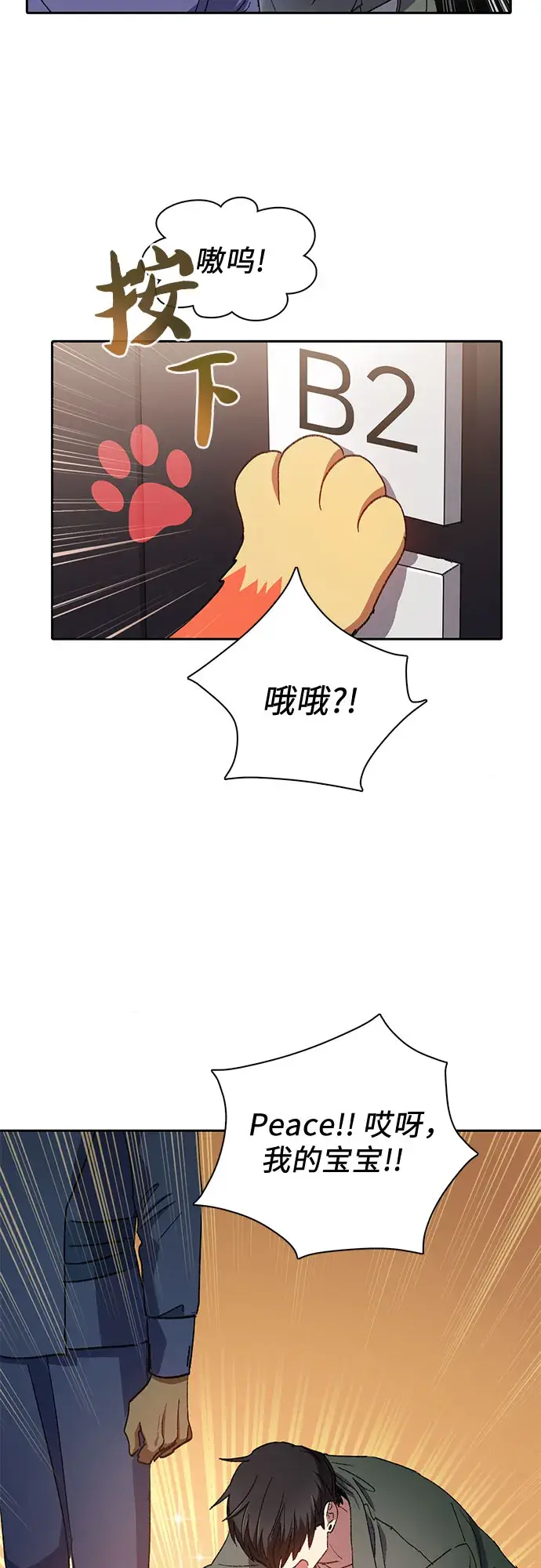 《我培养的s级们》第36话图13
