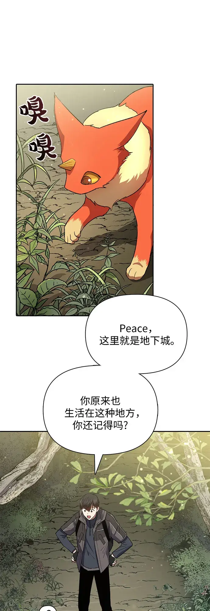 漫画《我培养的s级们》第52话 需要交流第33张图