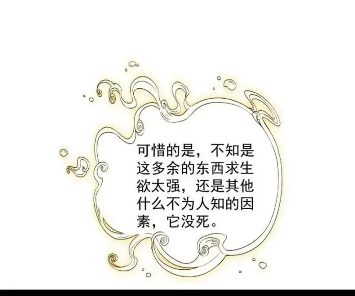 漫画《我为邪帝》第489话 师与徒第28张图