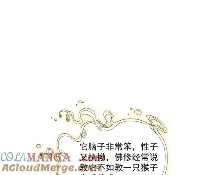 漫画《我为邪帝》第489话 师与徒第61张图