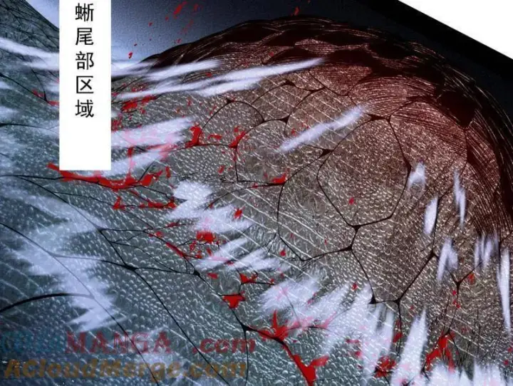 《我为邪帝》第515话 硬刚五星通天蜥图37