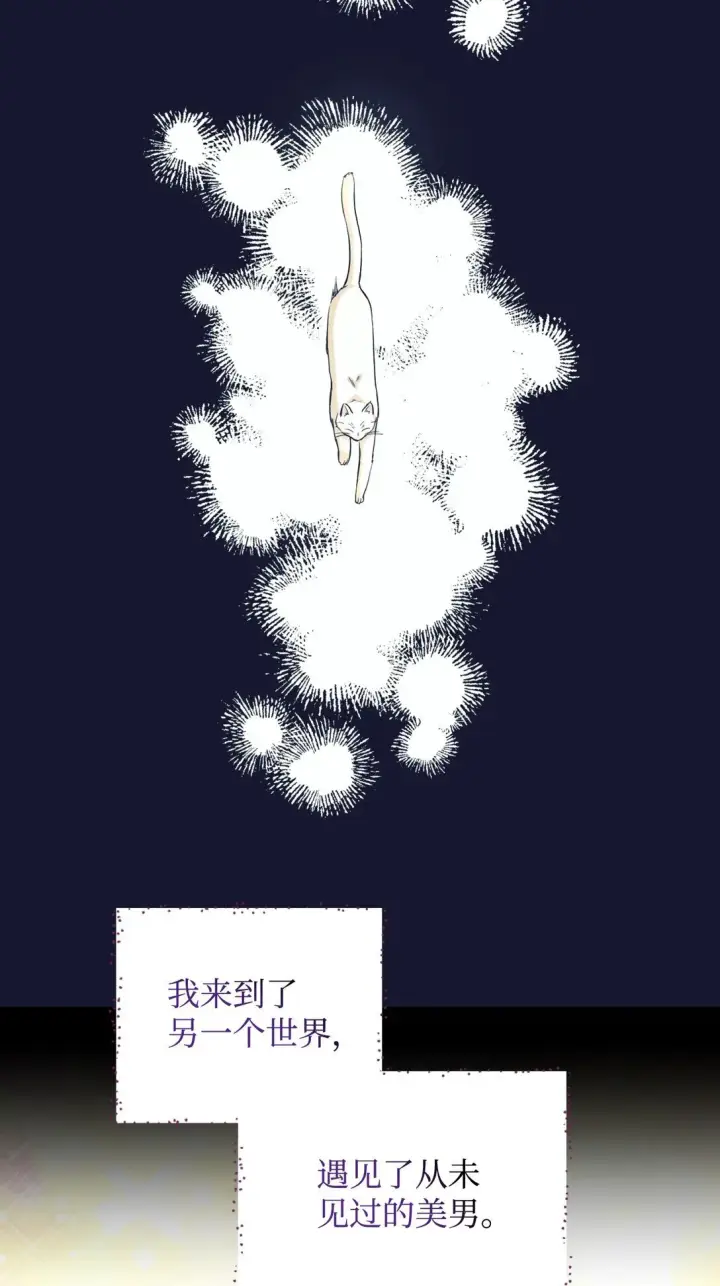 漫画《我要成为这监禁游戏的女主》28 皇帝的爱人第62张图