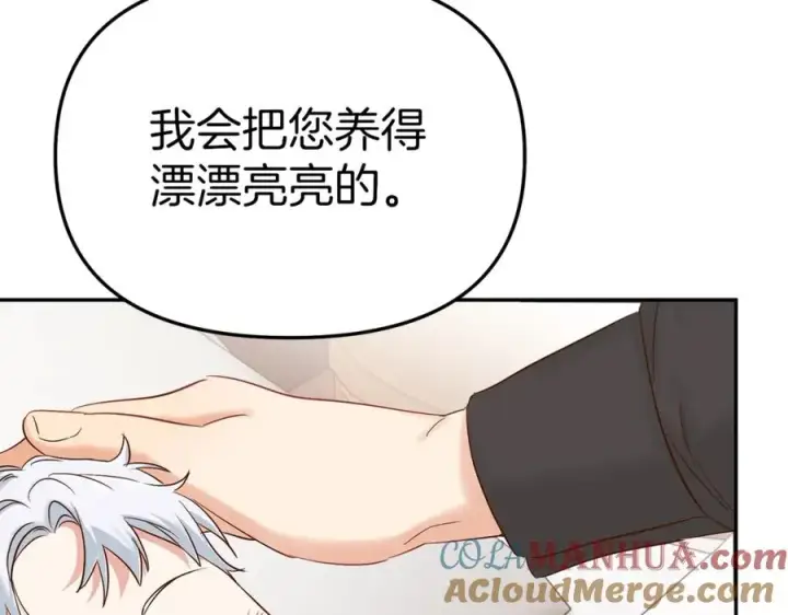 《我在死敌家当团宠》第3话 才不让你扔掉我！图209
