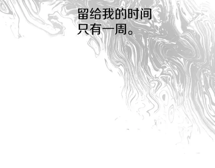 漫画《我在死敌家当团宠》第17话 贵重的回礼第48张图