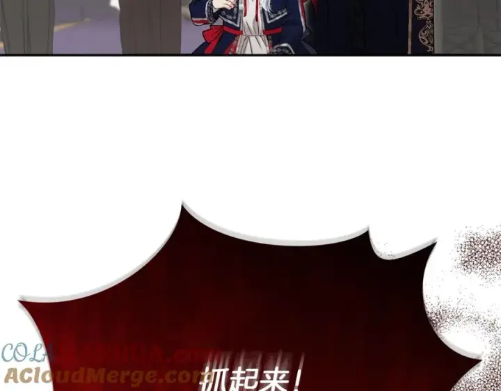 《我在死敌家当团宠》第42话 真正的生辰礼图117