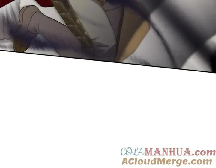 《我在死敌家当团宠》第42话 真正的生辰礼图9