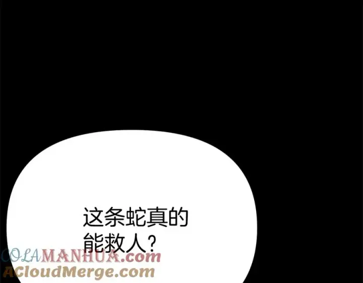 《我在死敌家当团宠》第45话 记忆的代价图157