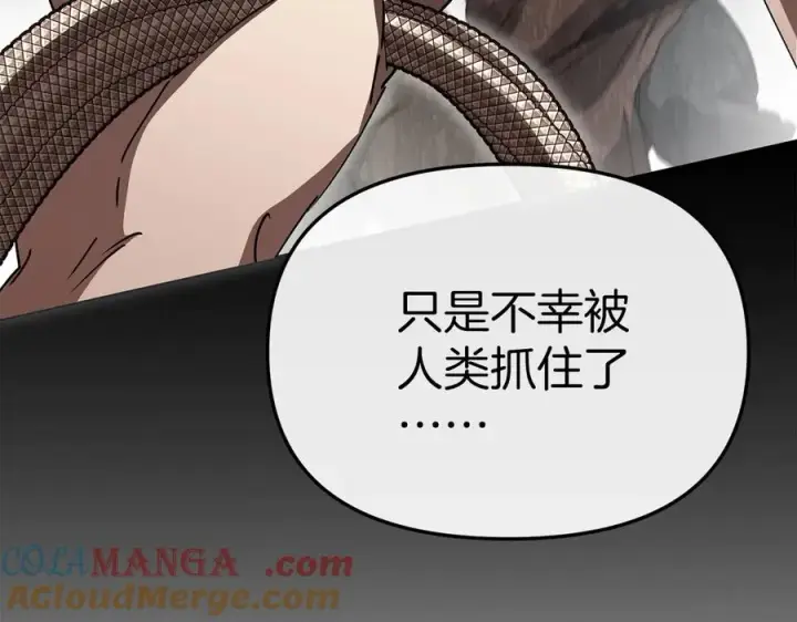 《我在死敌家当团宠》第80话 真正的敌人图57