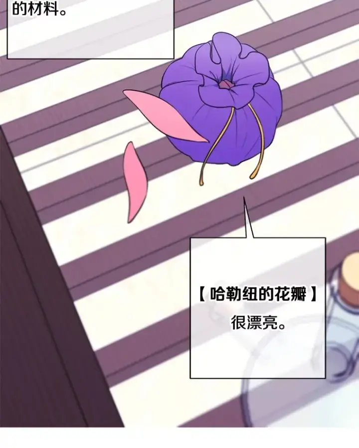 《我在小说里当无赖》16.1级地下城图15