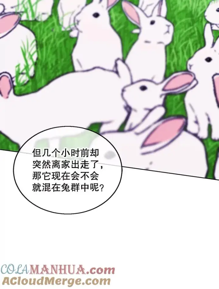 漫画《我在小说里当无赖》55.离家出走的兔子第97张图