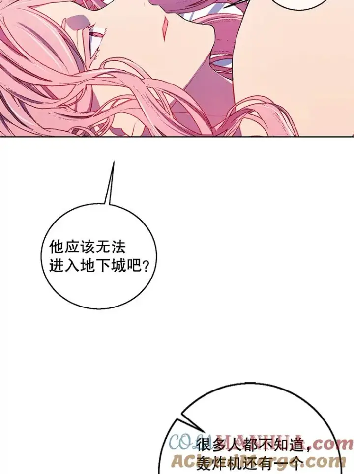 《我在小说里当无赖》61.轰炸机图64